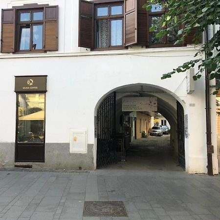 Gizell Apartment 1 시비우 외부 사진